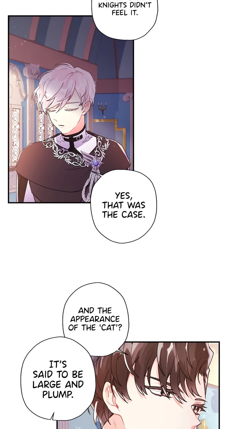 The Male Lead