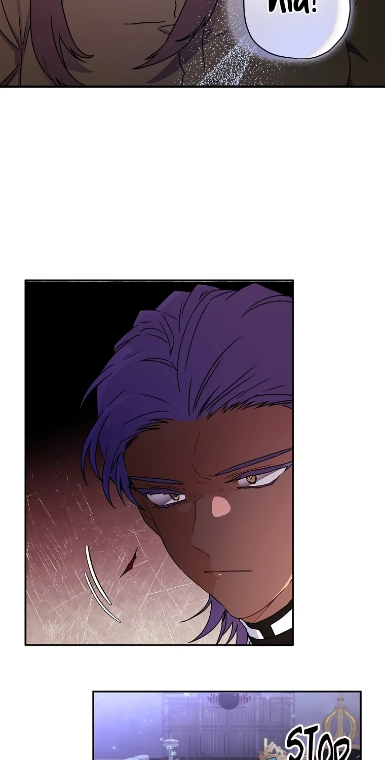 The Male Lead