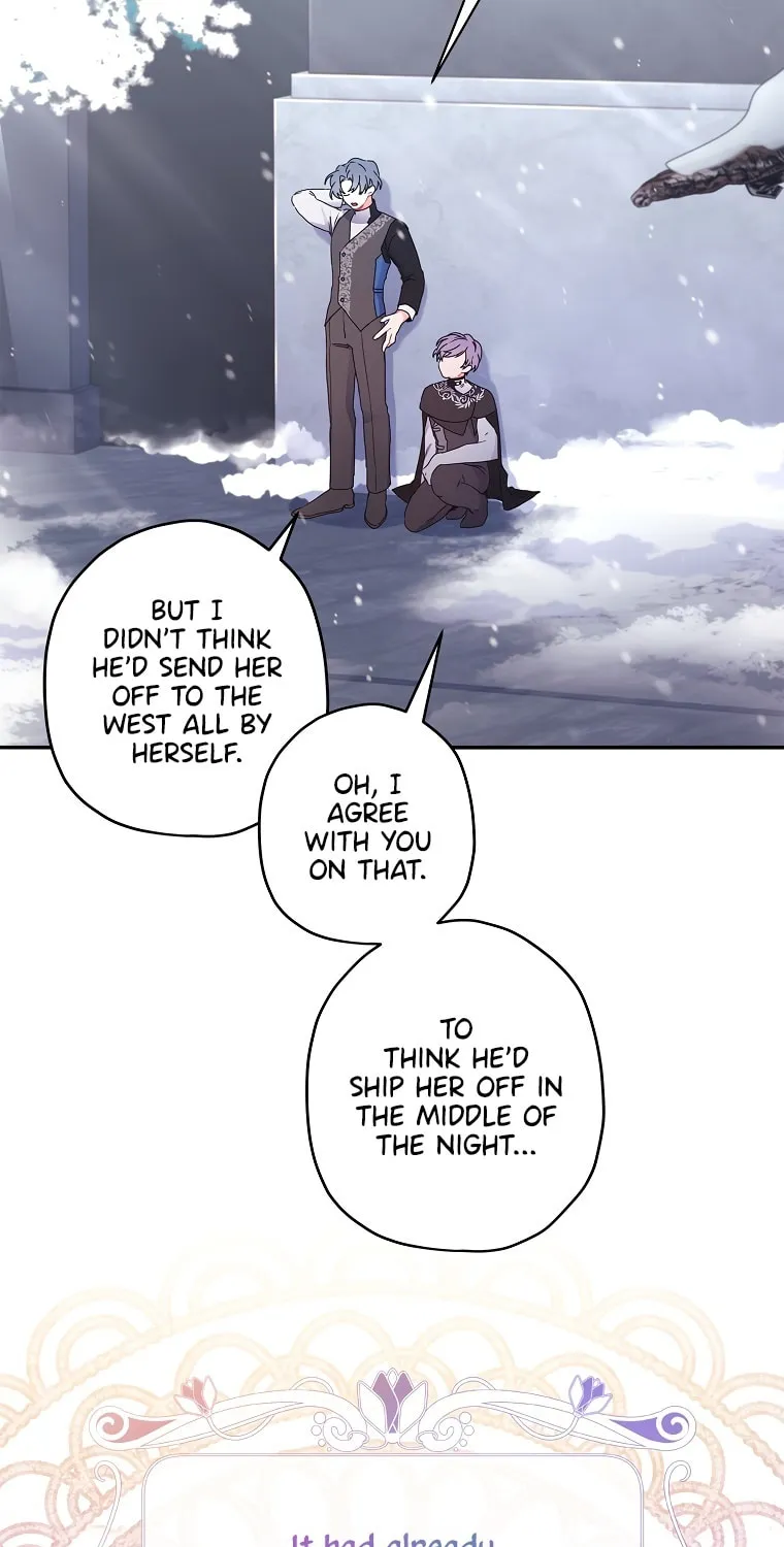 The Male Lead