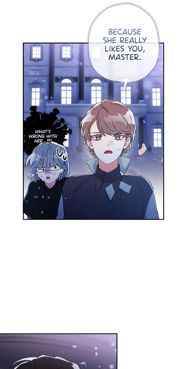 The Male Lead