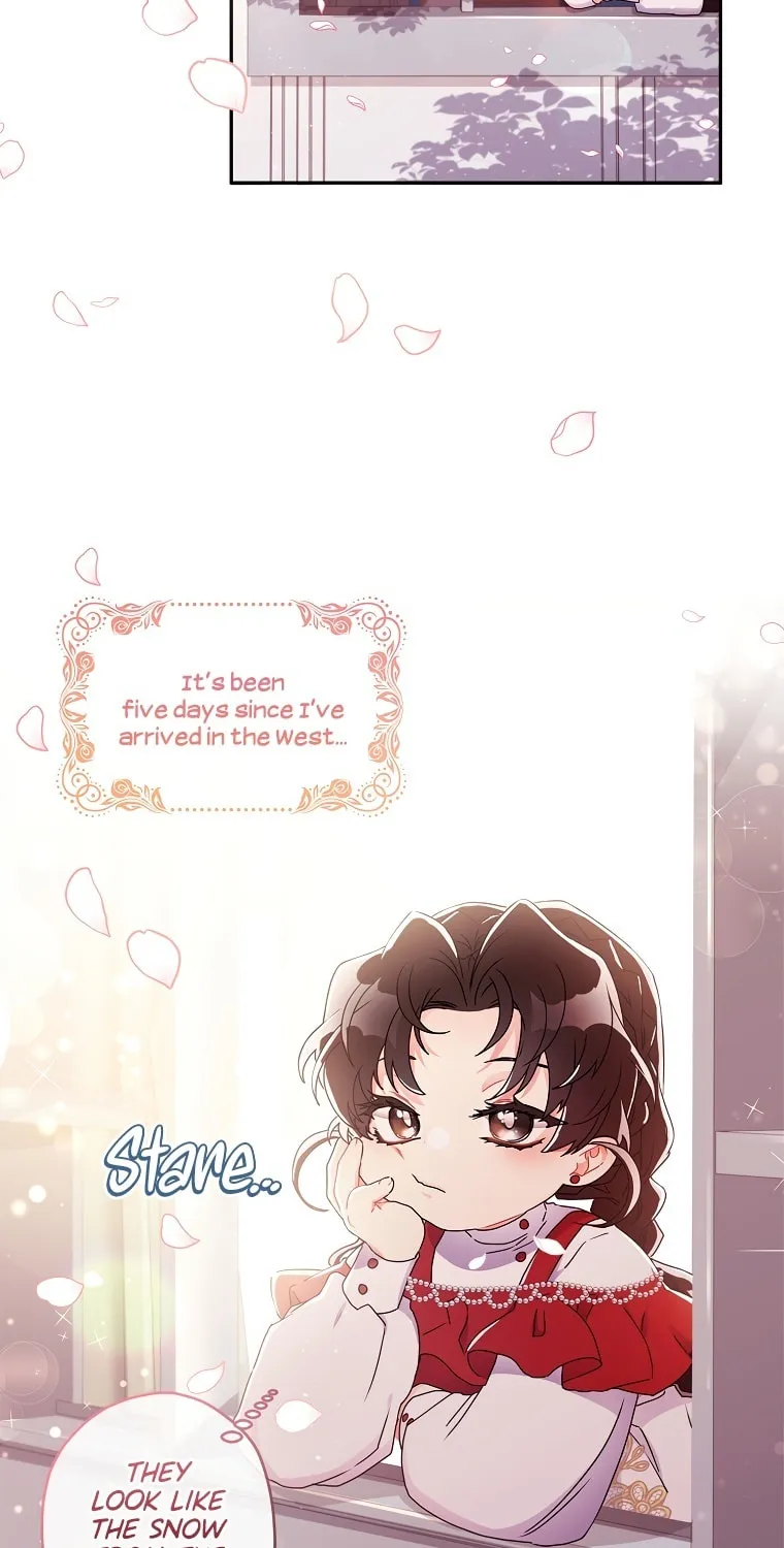 The Male Lead