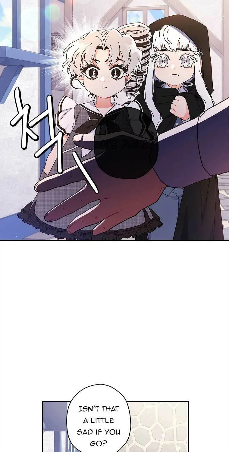 The Male Lead