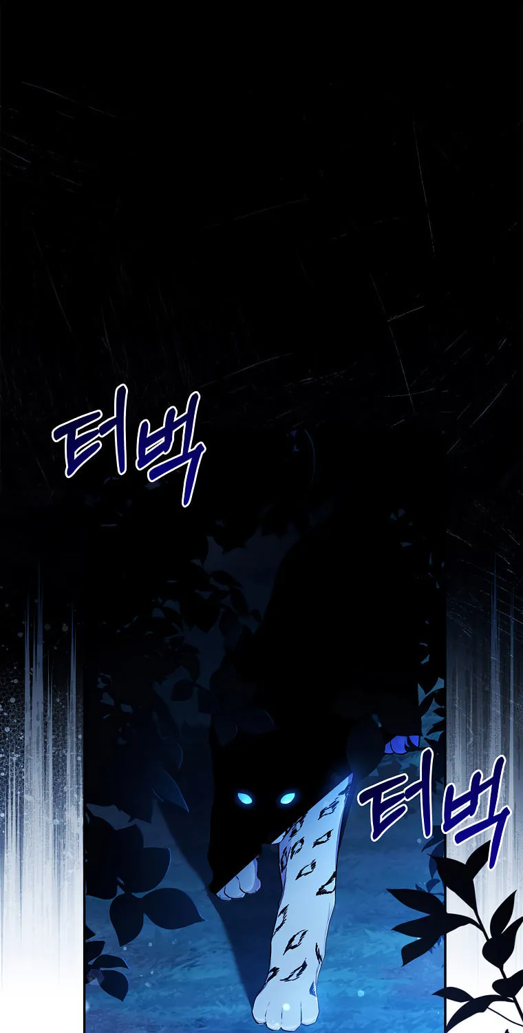 The Male Lead