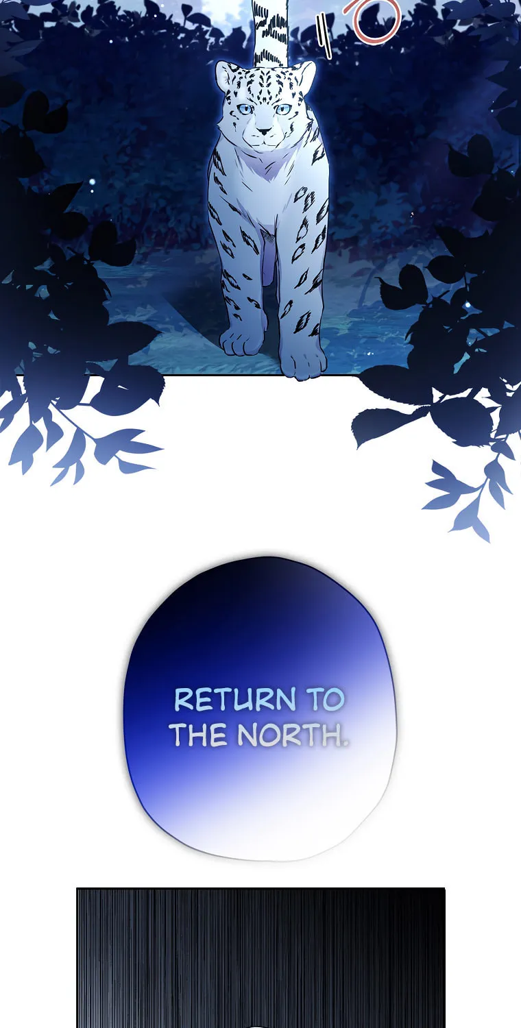 The Male Lead