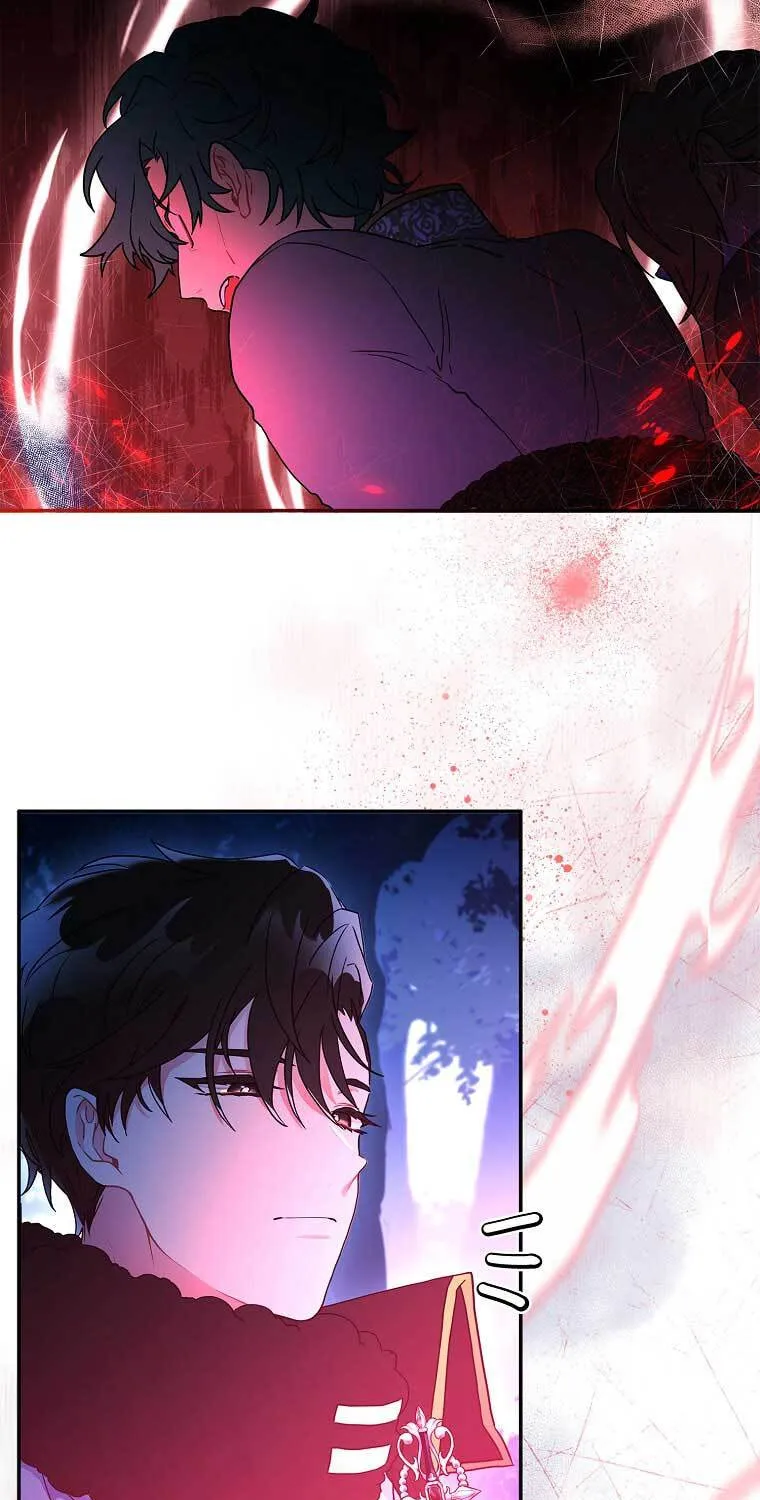 The Male Lead