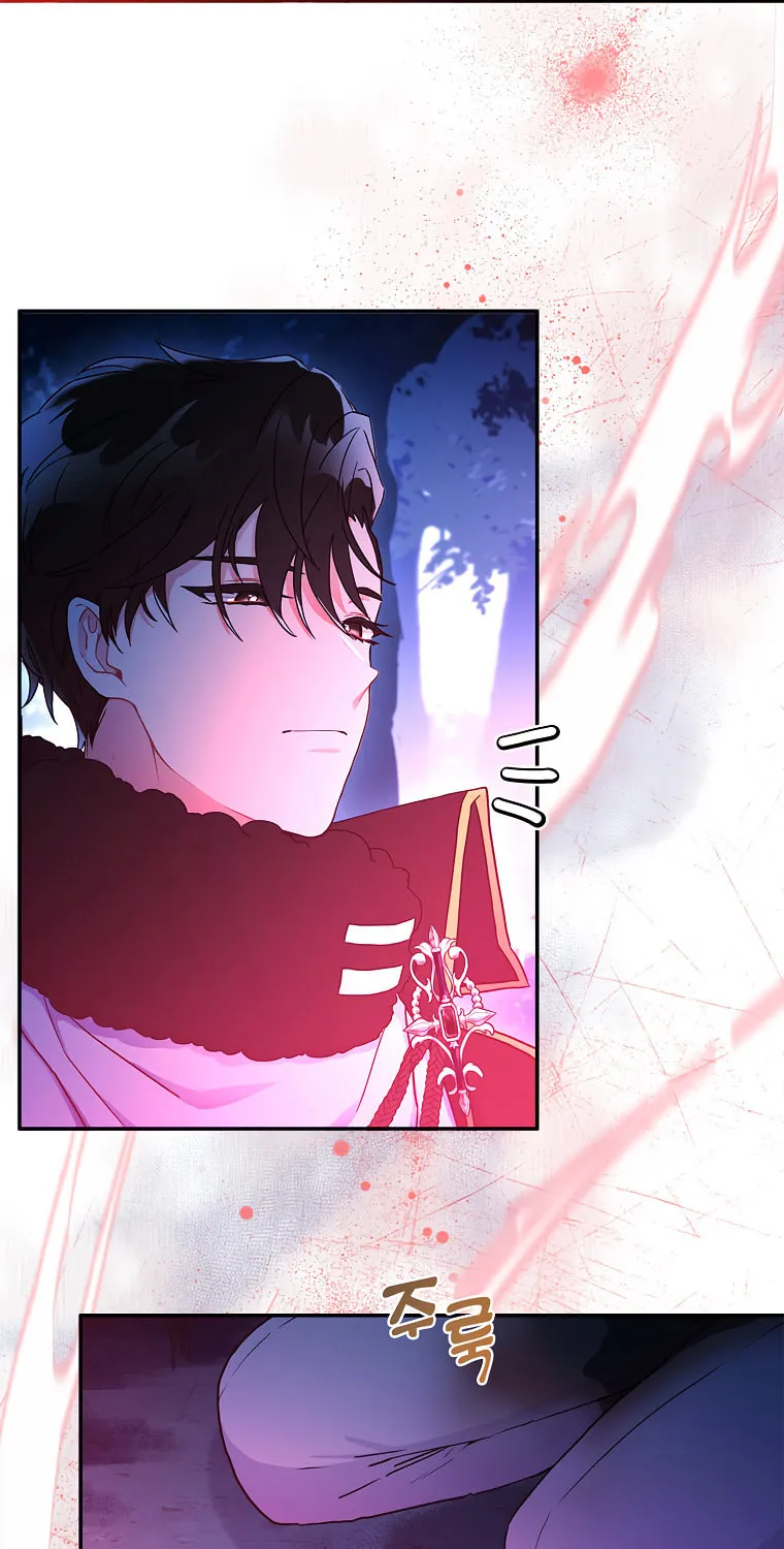 The Male Lead