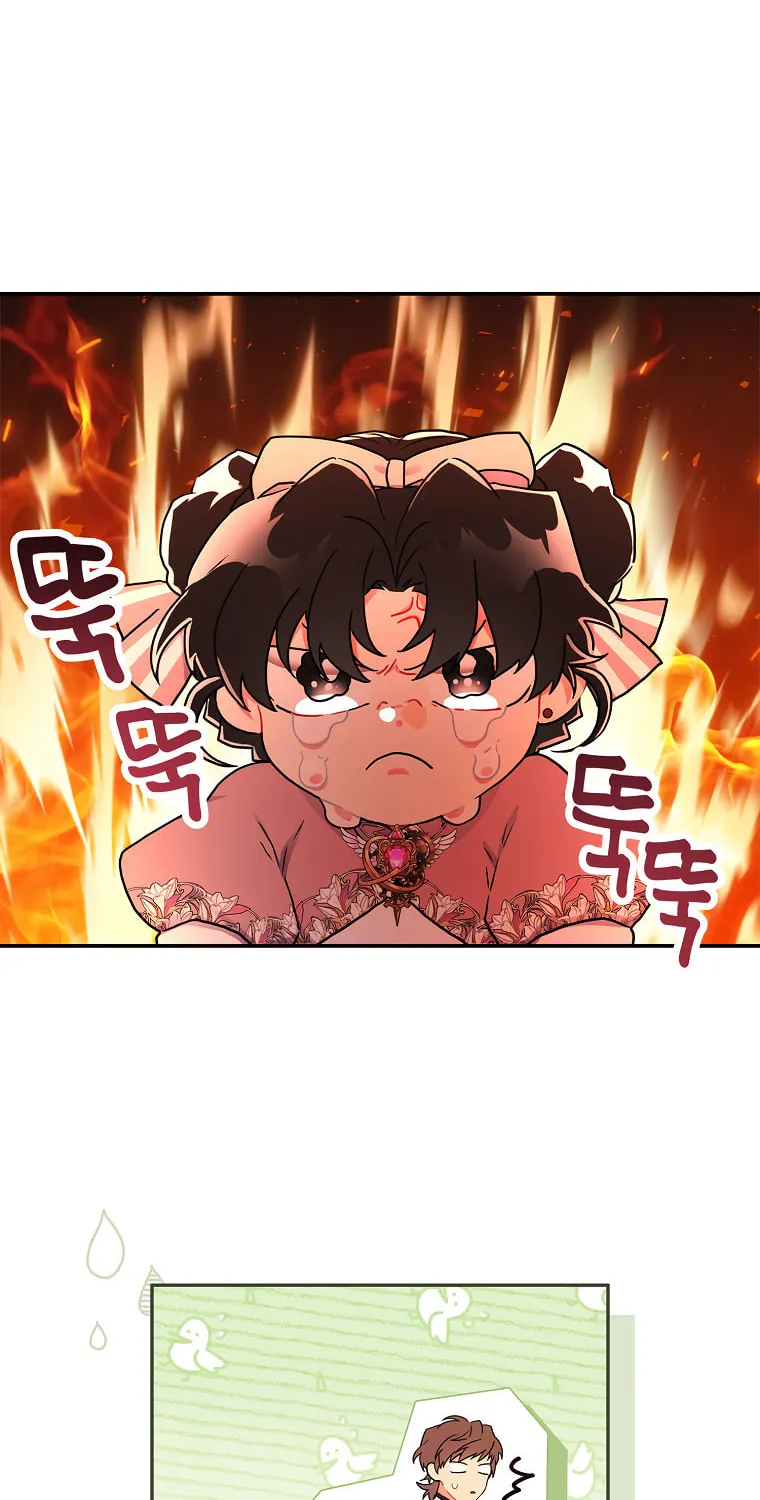 The Male Lead