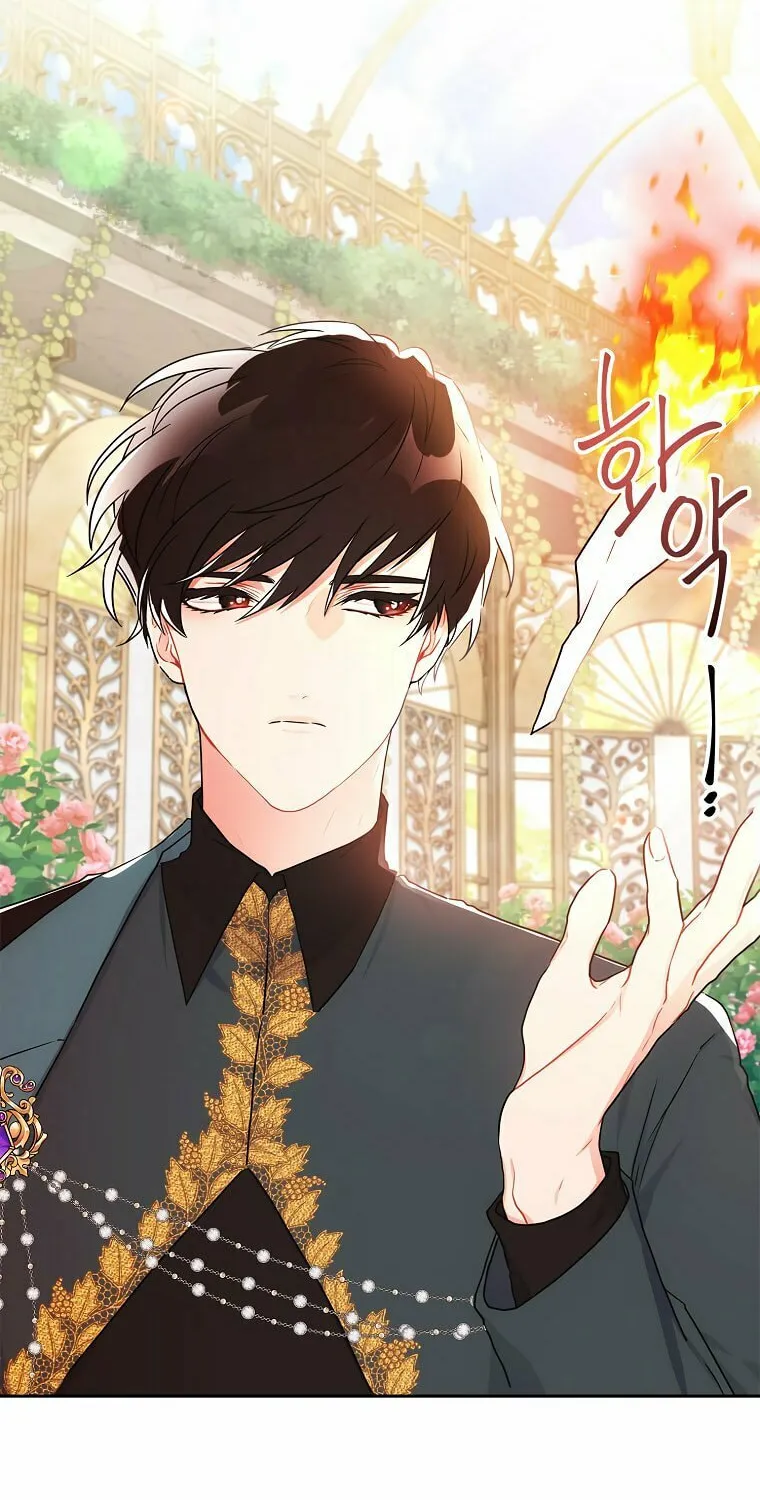 The Male Lead
