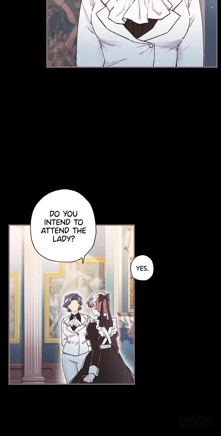 The Male Lead