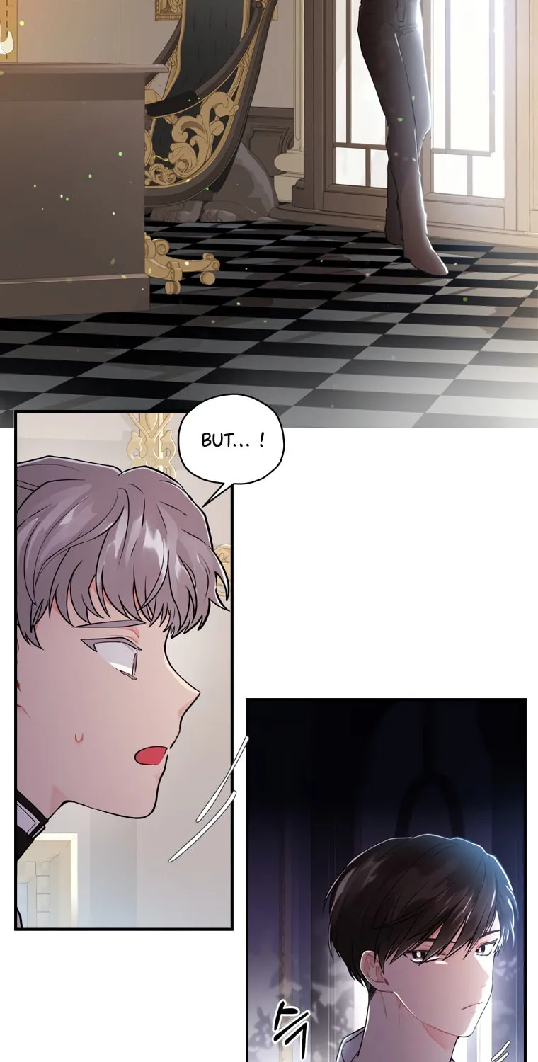 The Male Lead