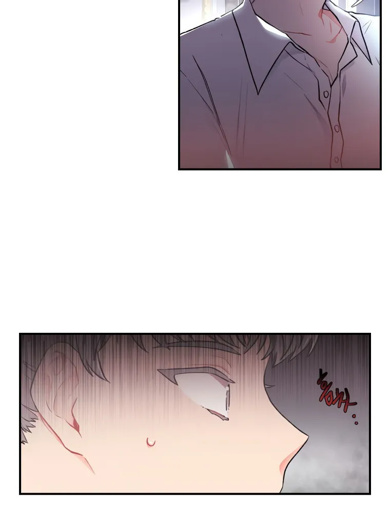 The Male Lead