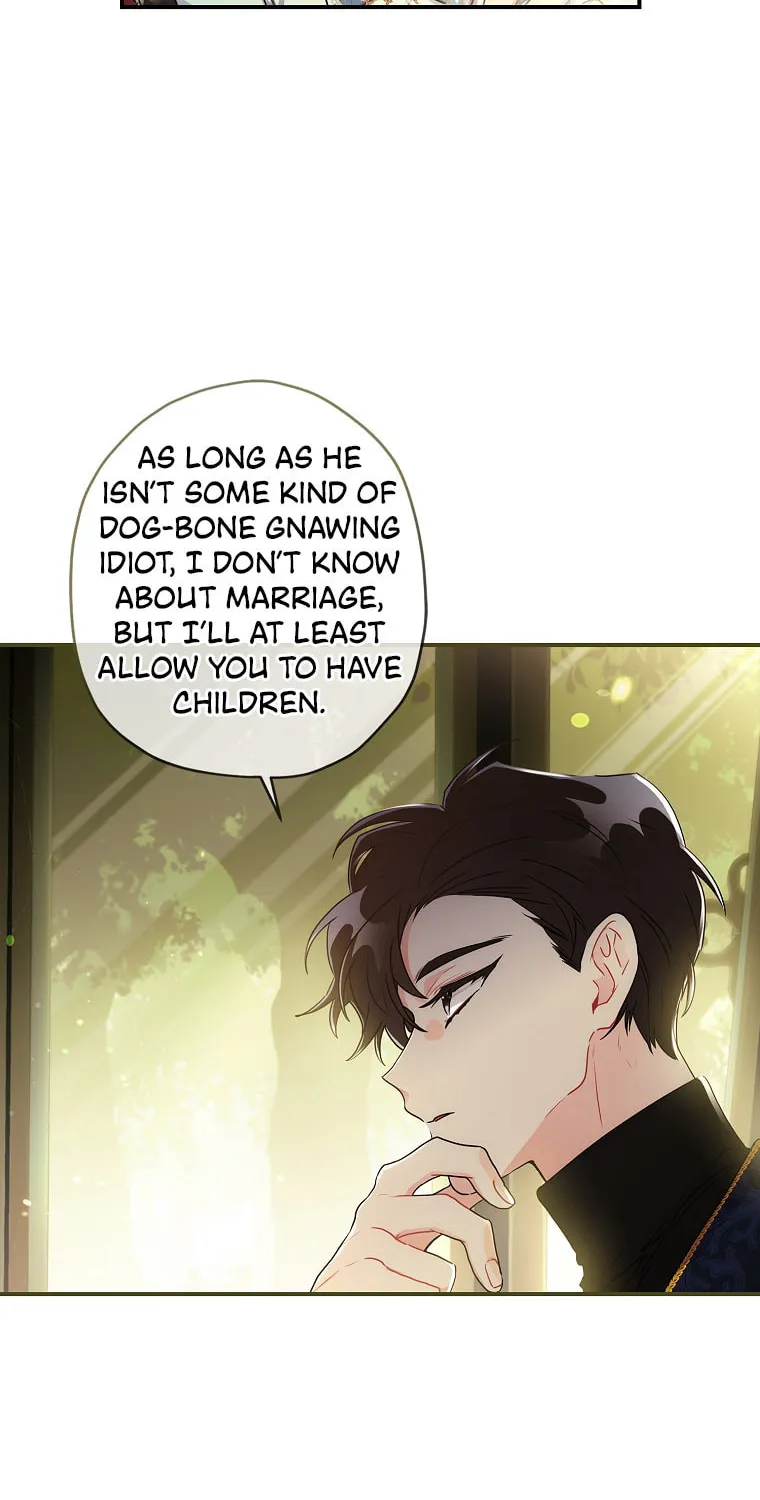 The Male Lead