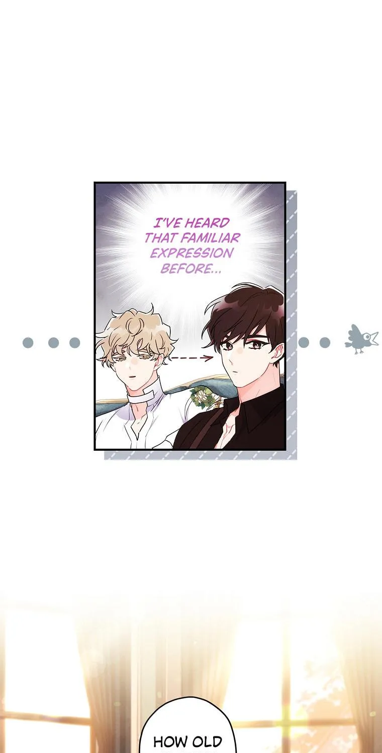The Male Lead