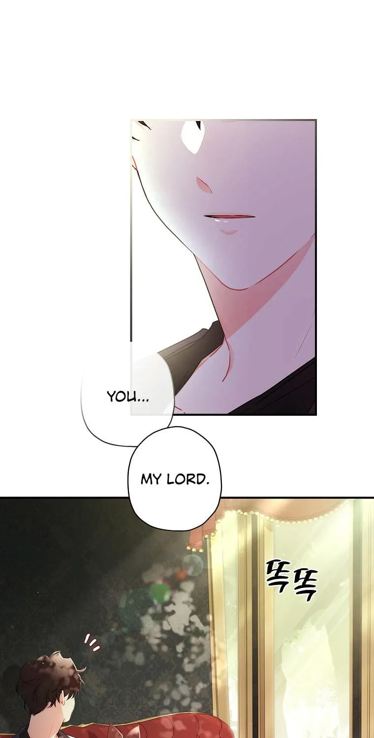 The Male Lead