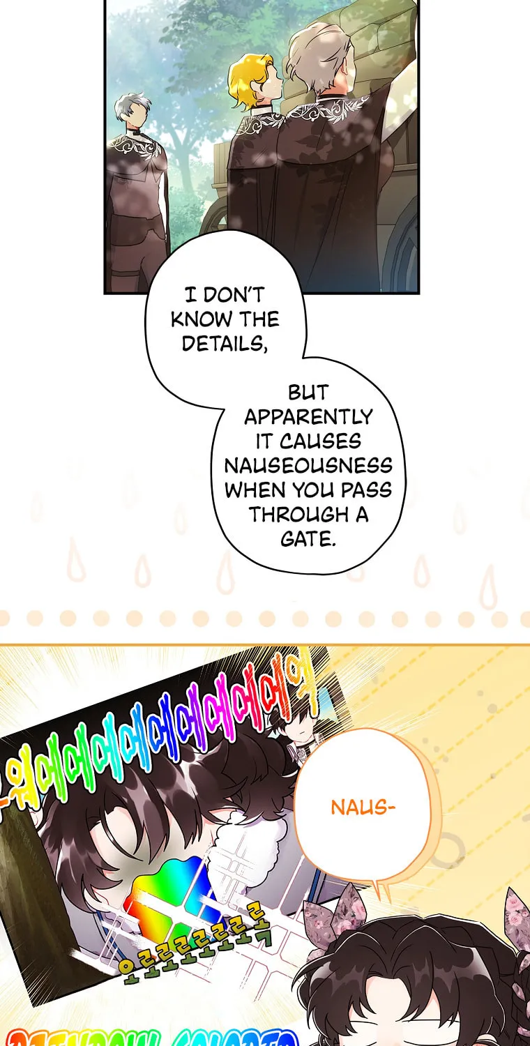 The Male Lead