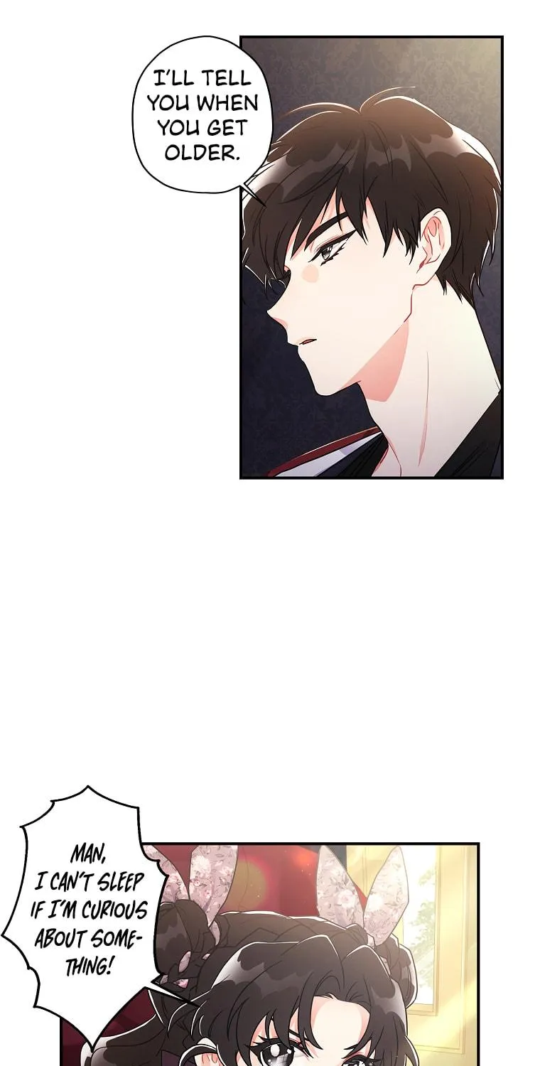 The Male Lead