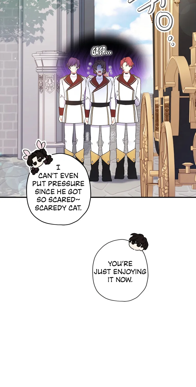 The Male Lead