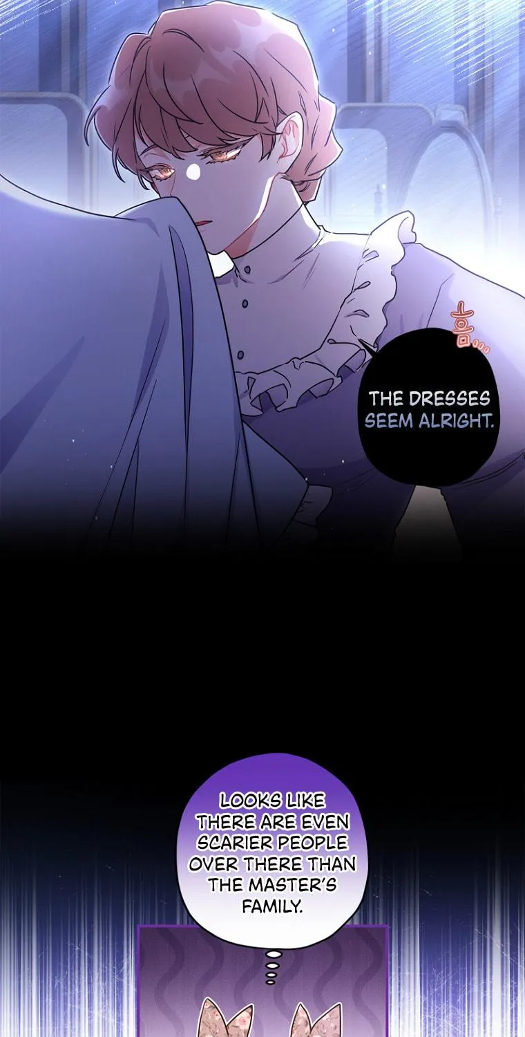 The Male Lead