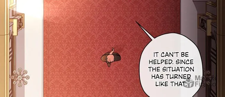 The Male Lead