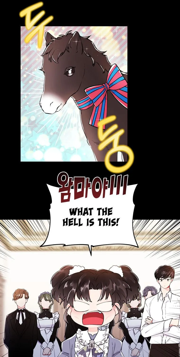 The Male Lead