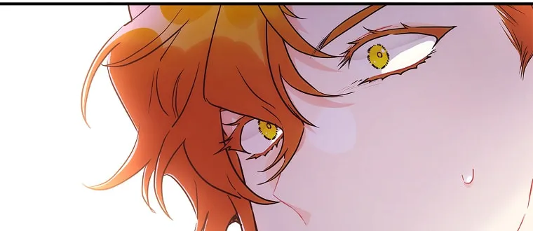 The Male Lead