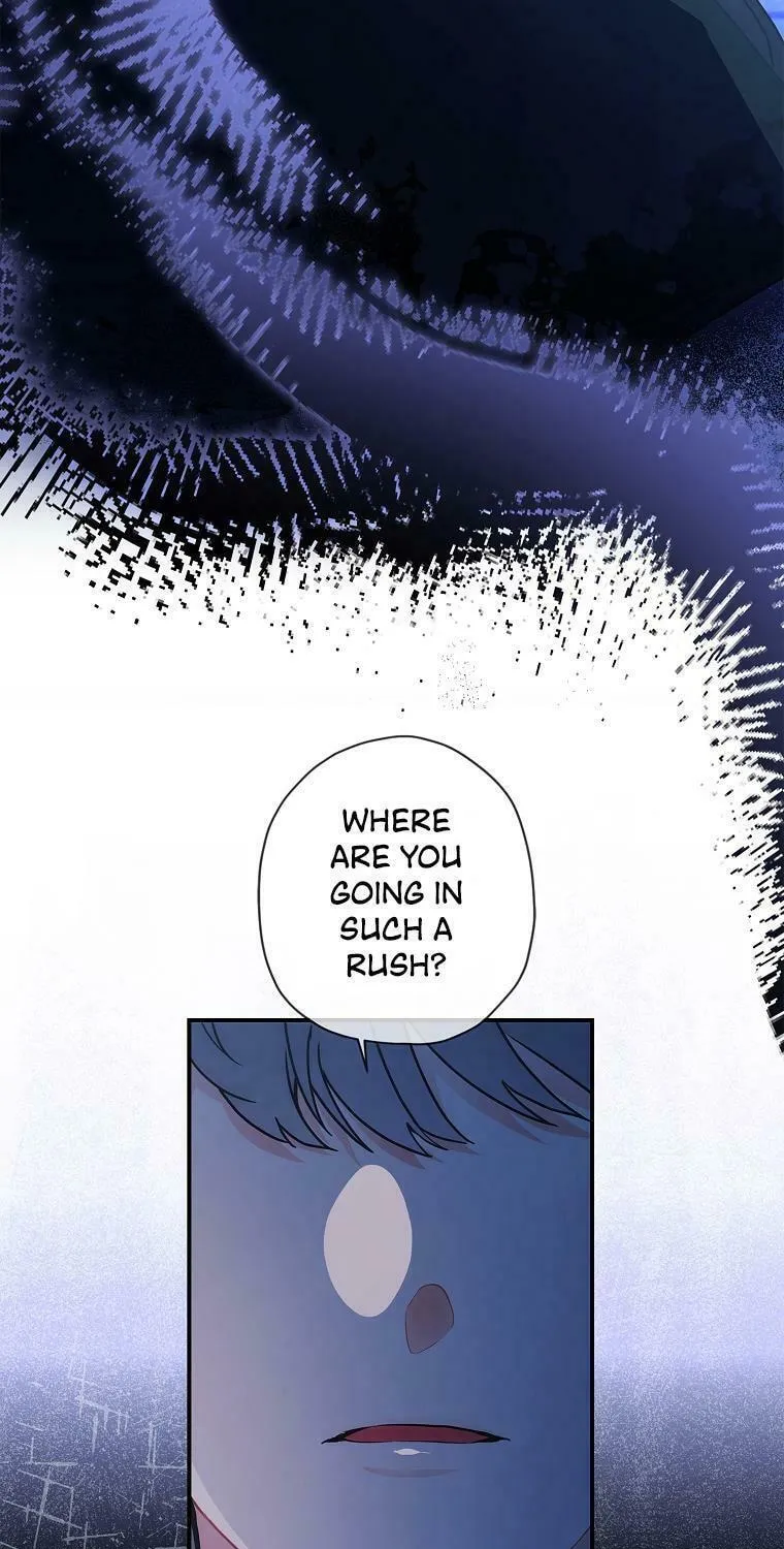 The Male Lead