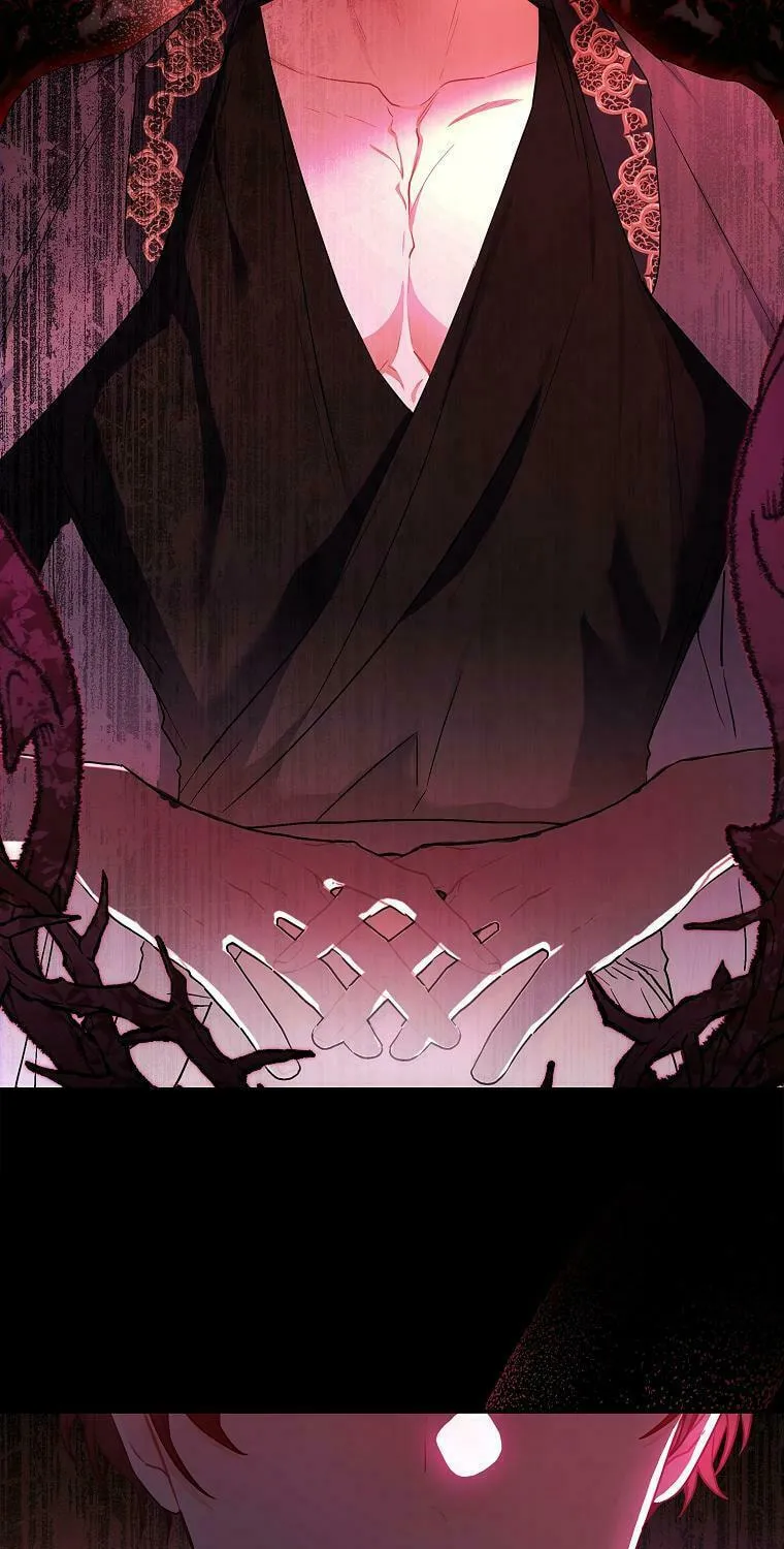 The Male Lead