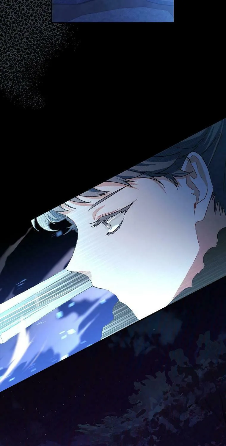 The Male Lead