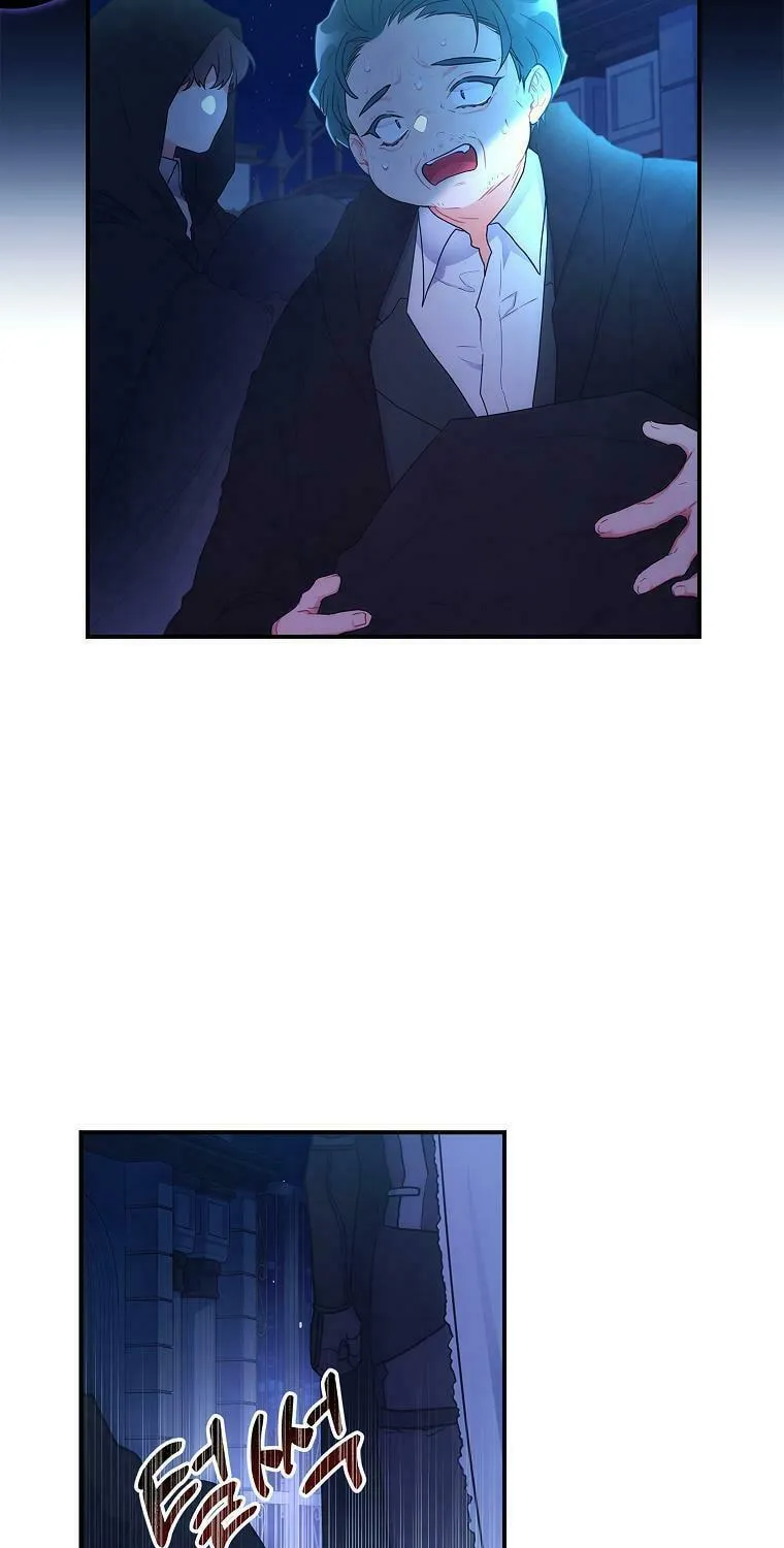 The Male Lead