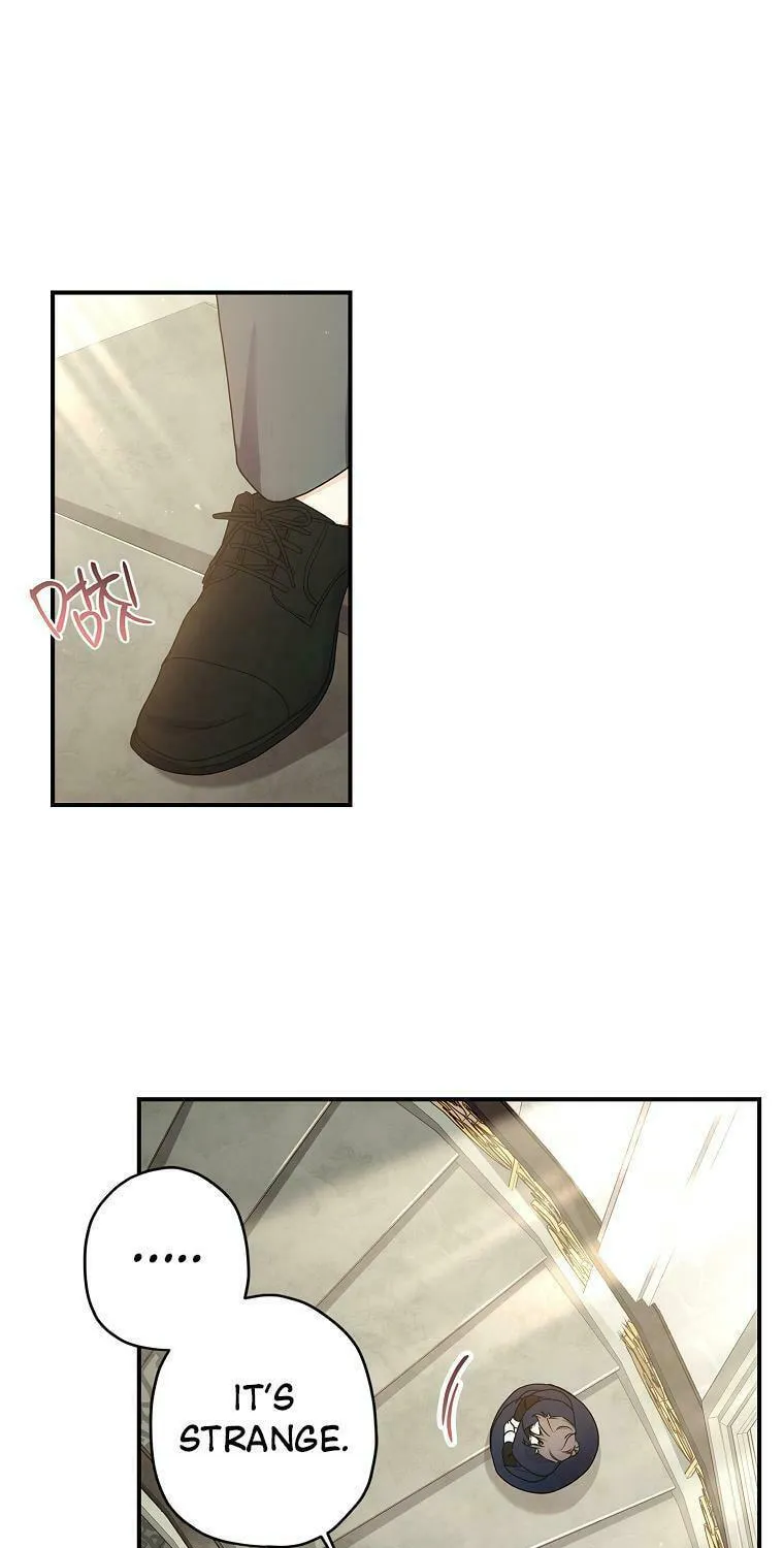 The Male Lead