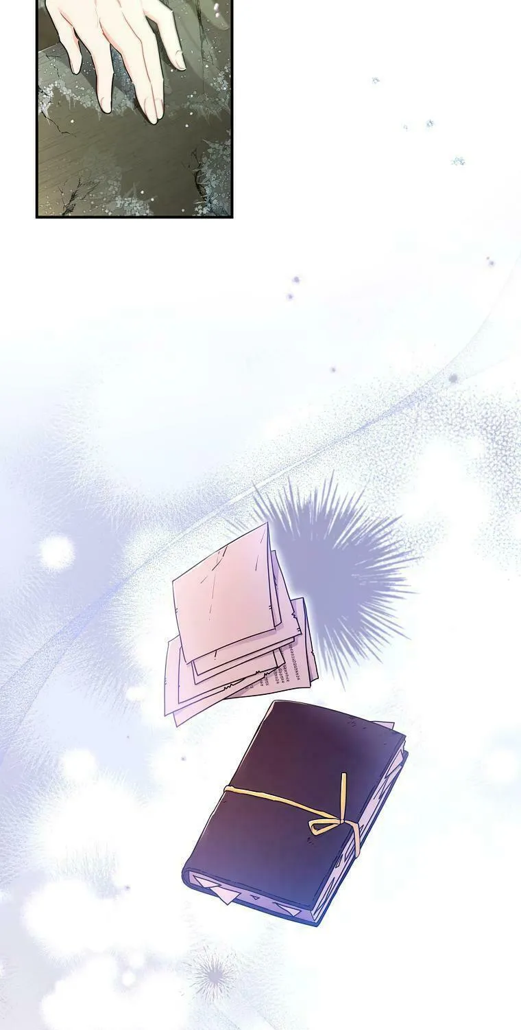 The Male Lead
