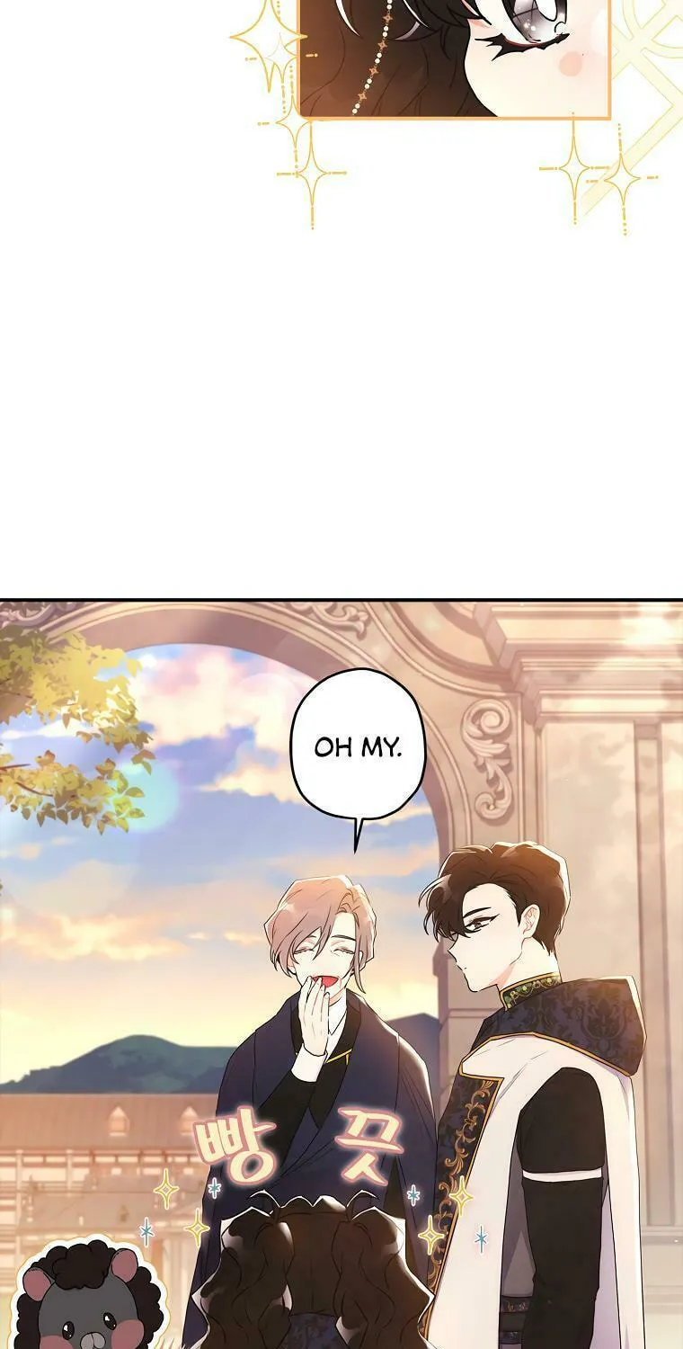 The Male Lead