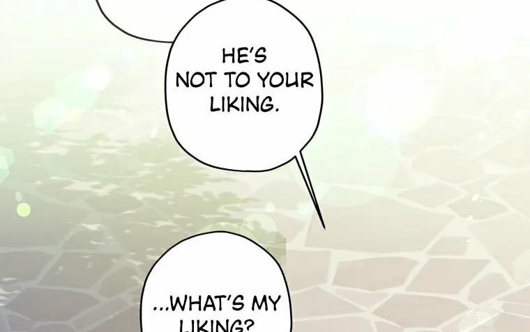 The Male Lead