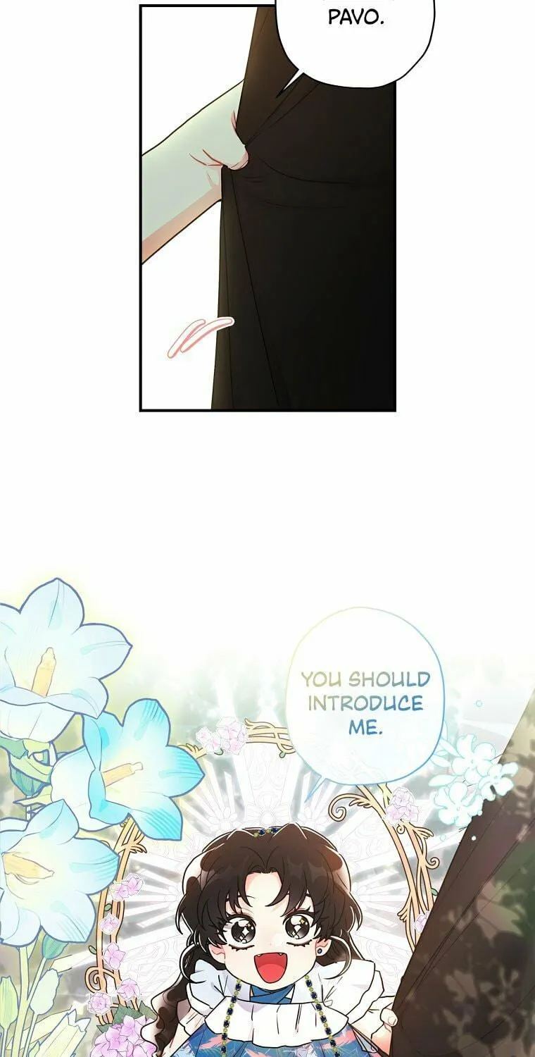 The Male Lead