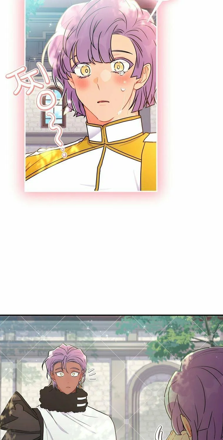 The Male Lead