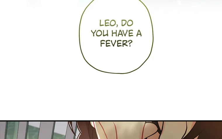 The Male Lead