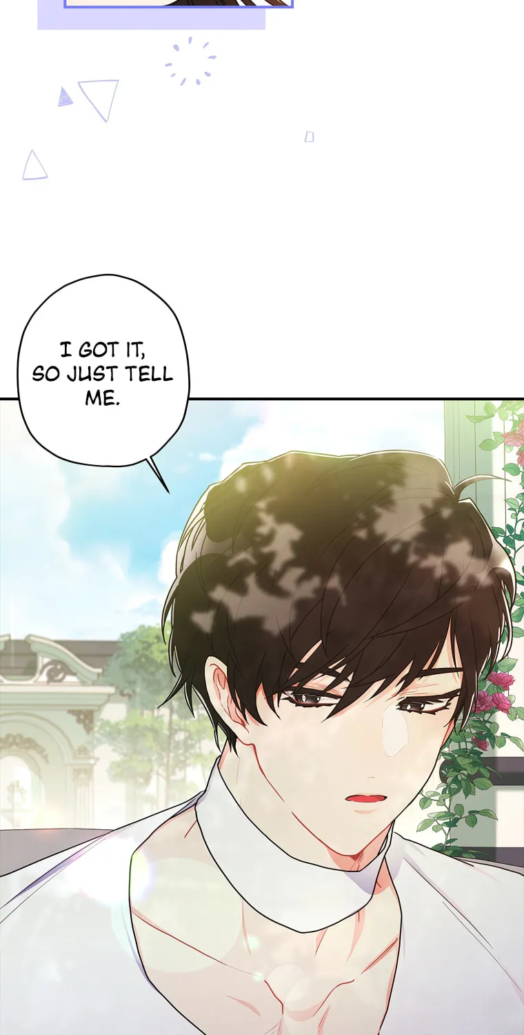 The Male Lead