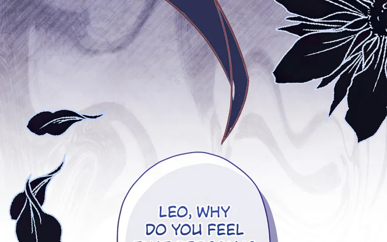 The Male Lead