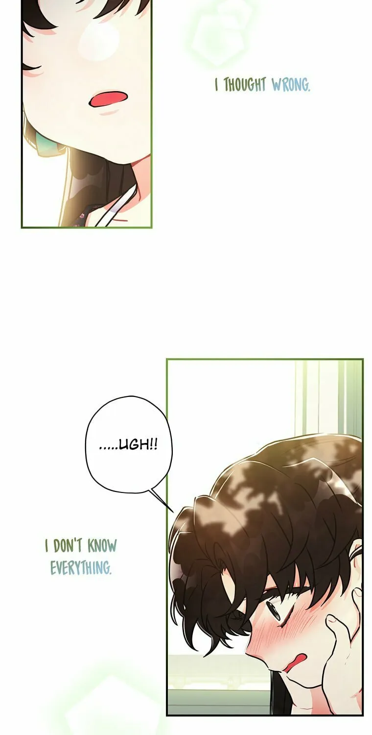 The Male Lead
