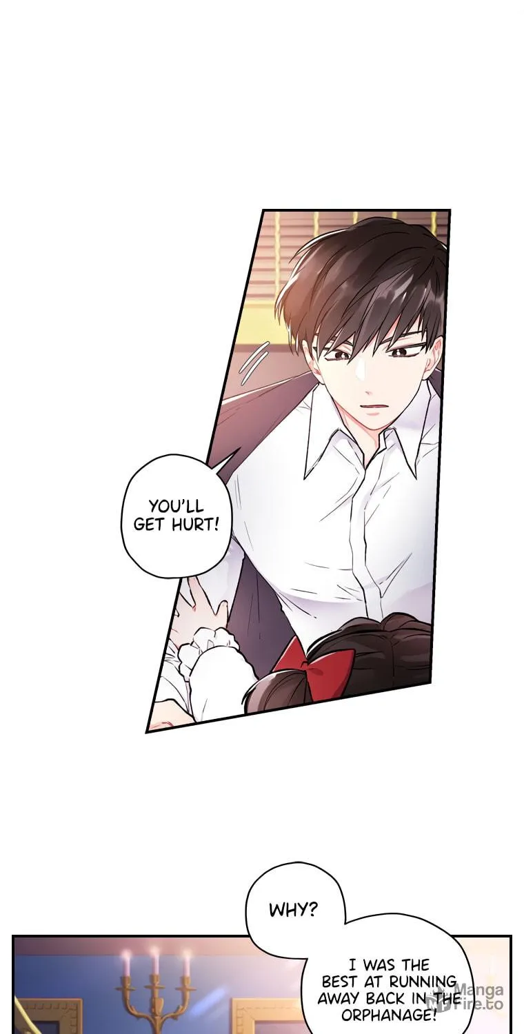 The Male Lead