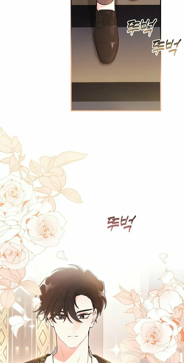 The Male Lead