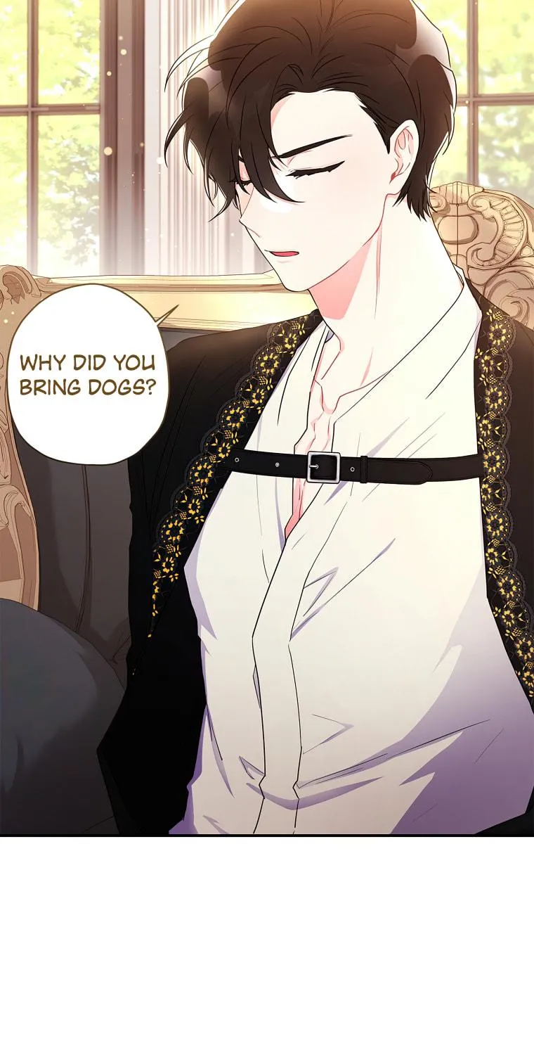 The Male Lead