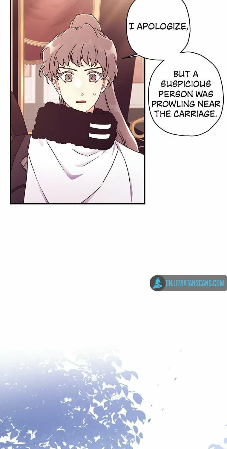 The Male Lead
