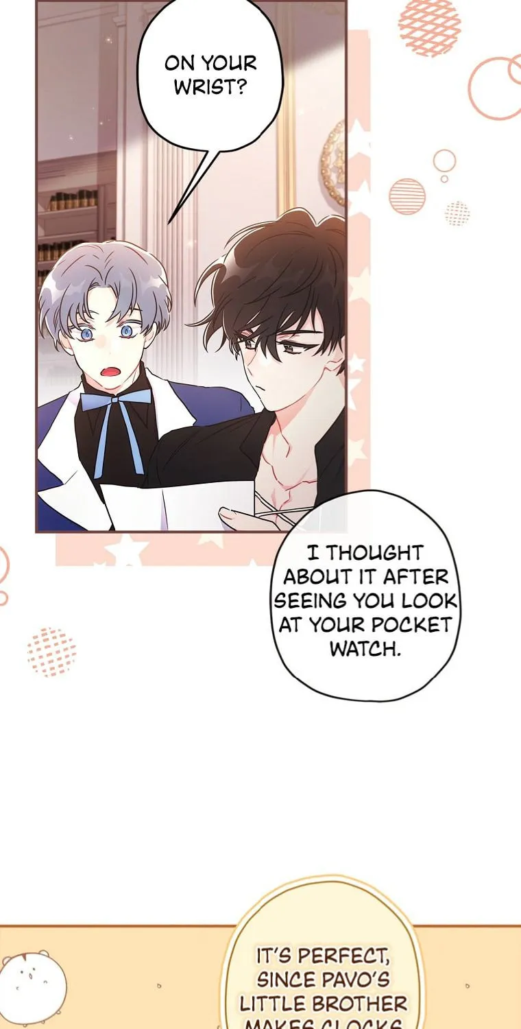 The Male Lead