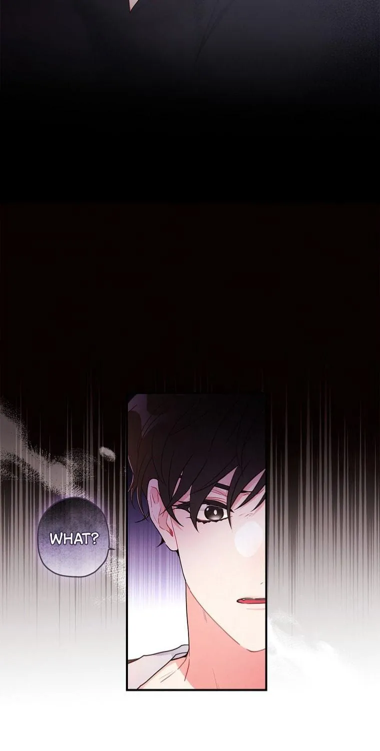 The Male Lead
