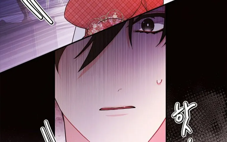 The Male Lead