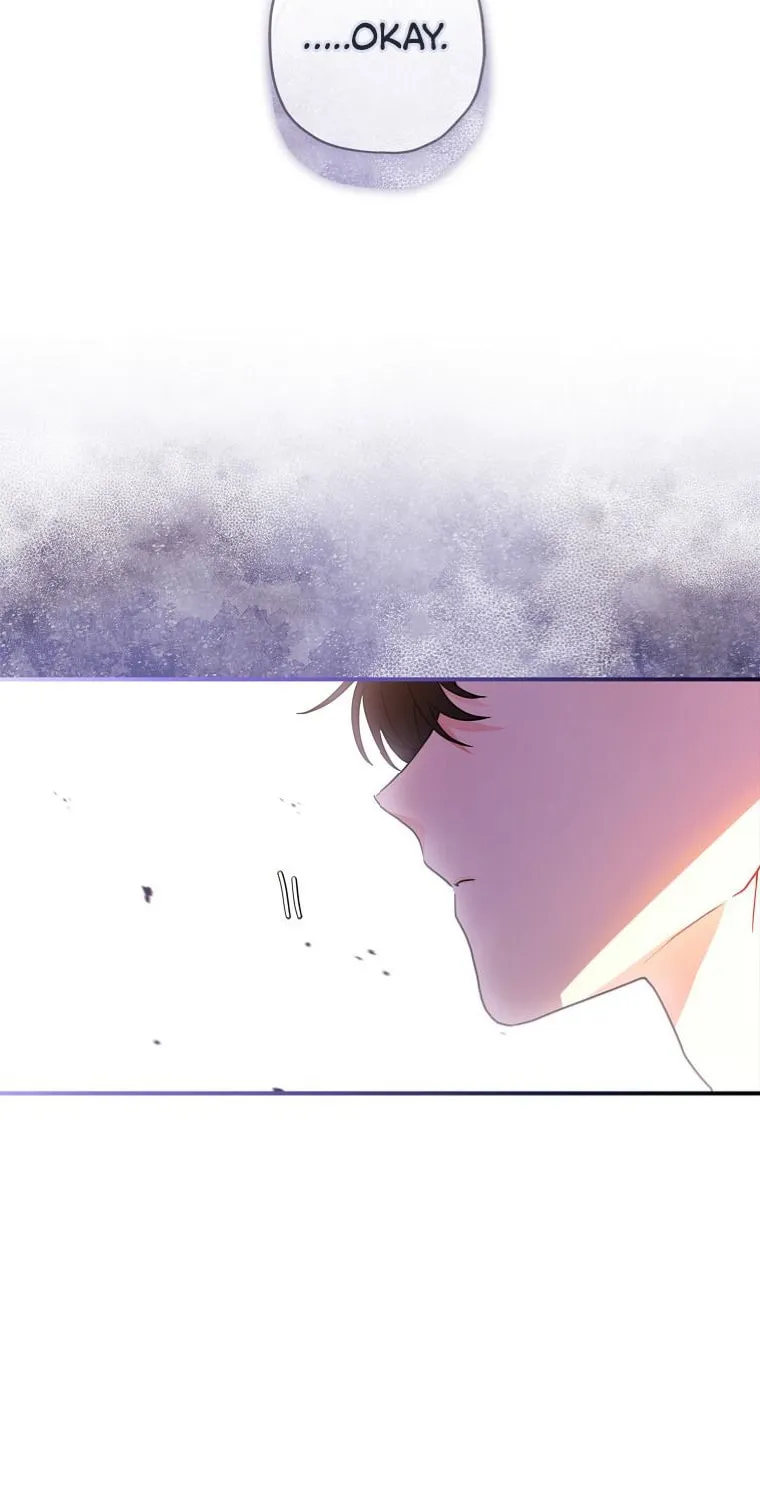The Male Lead