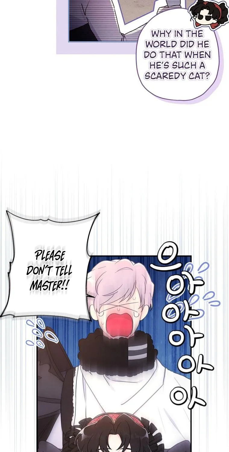 The Male Lead