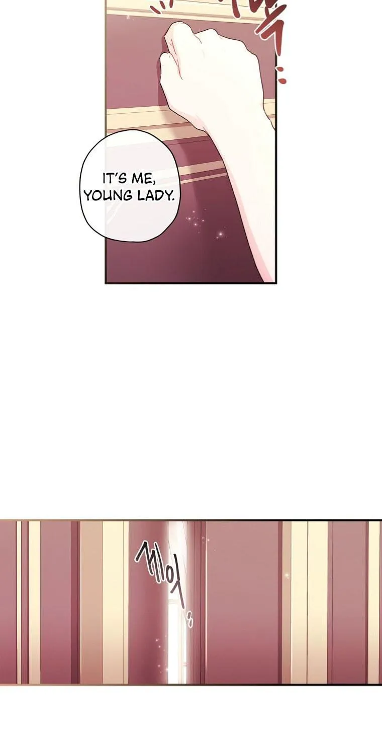 The Male Lead