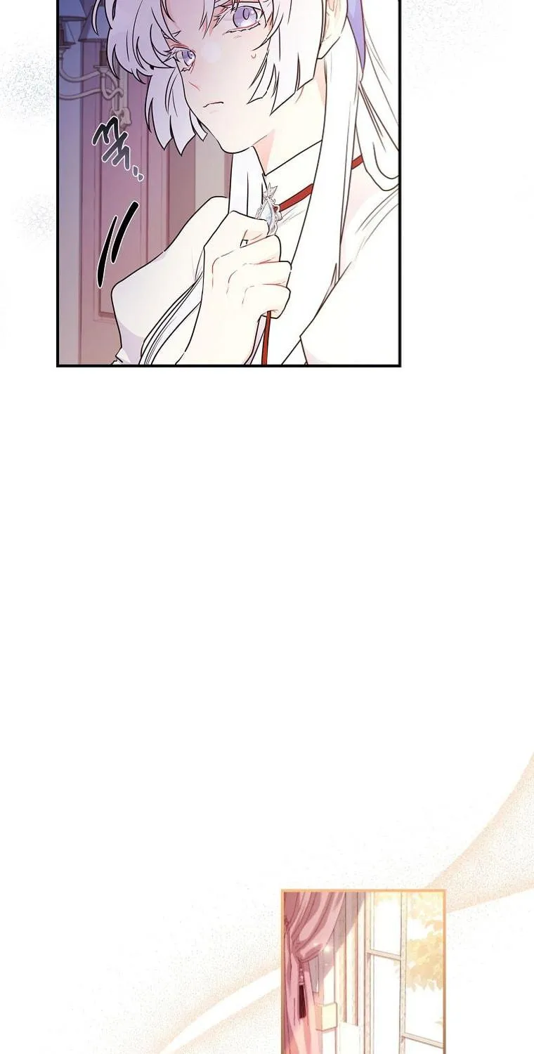 The Male Lead